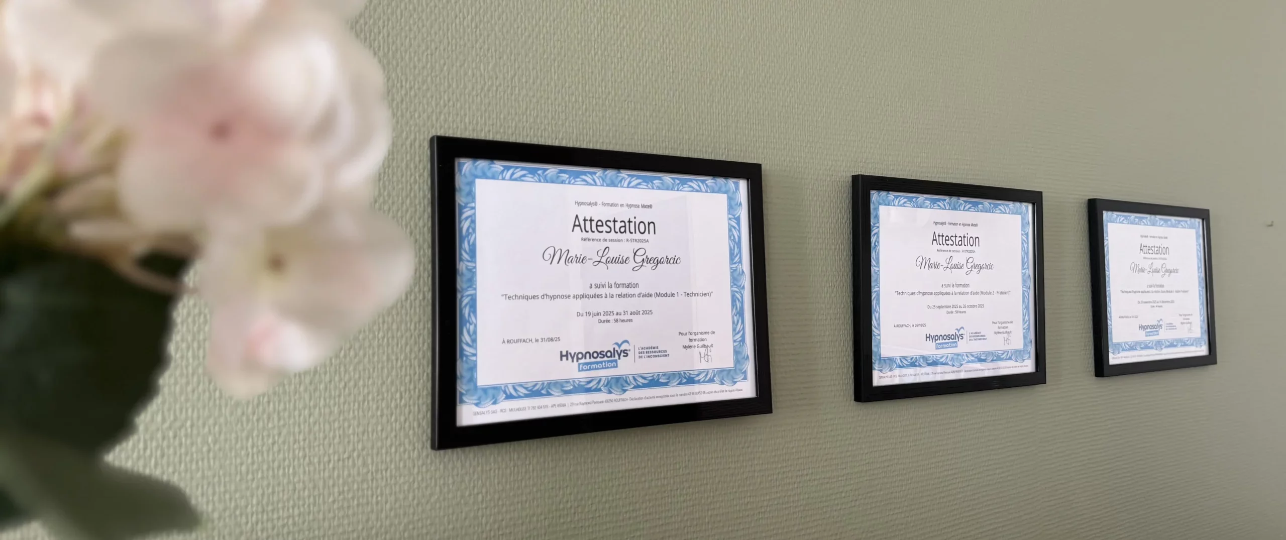 Attestations Hypnosalys Formation Marie Louise Gregorcic - Hypnothérapie forbach